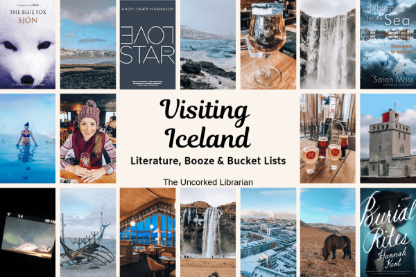 winter wonders book about iceland