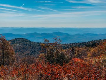 13 Undeniable Reasons For Moving To Asheville, North Carolina | The ...