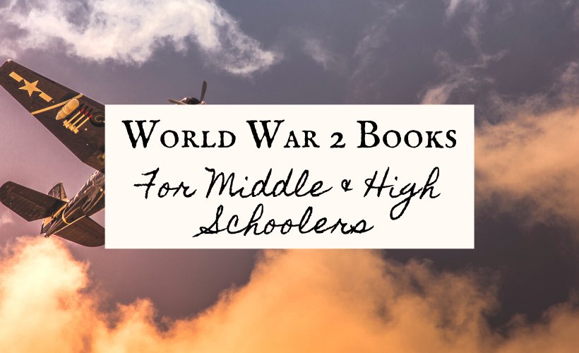 Holocaust Books For High School World War 2 books for Middle School blog cover with purple and orange sky with old world war 2 plane