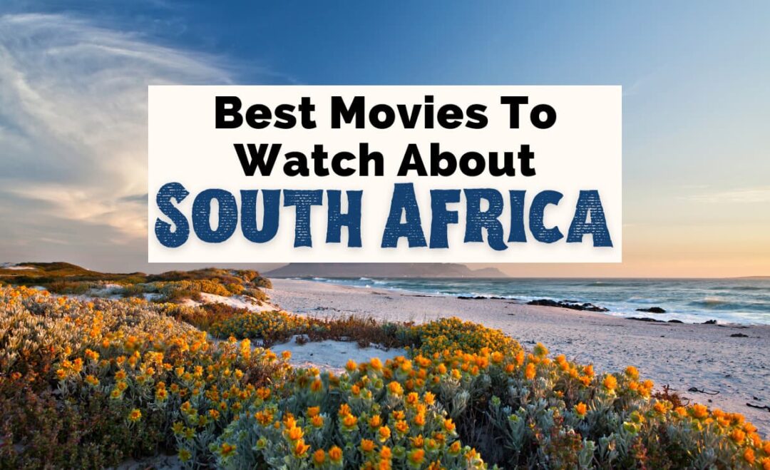 movie reviews south africa