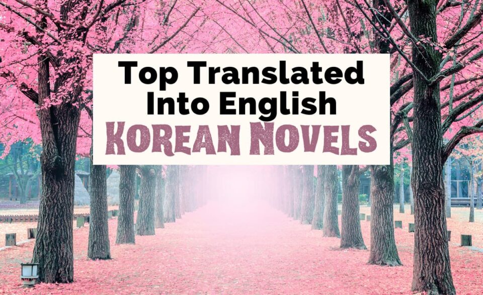 14-fantastic-korean-novels-in-english-translation-the-uncorked