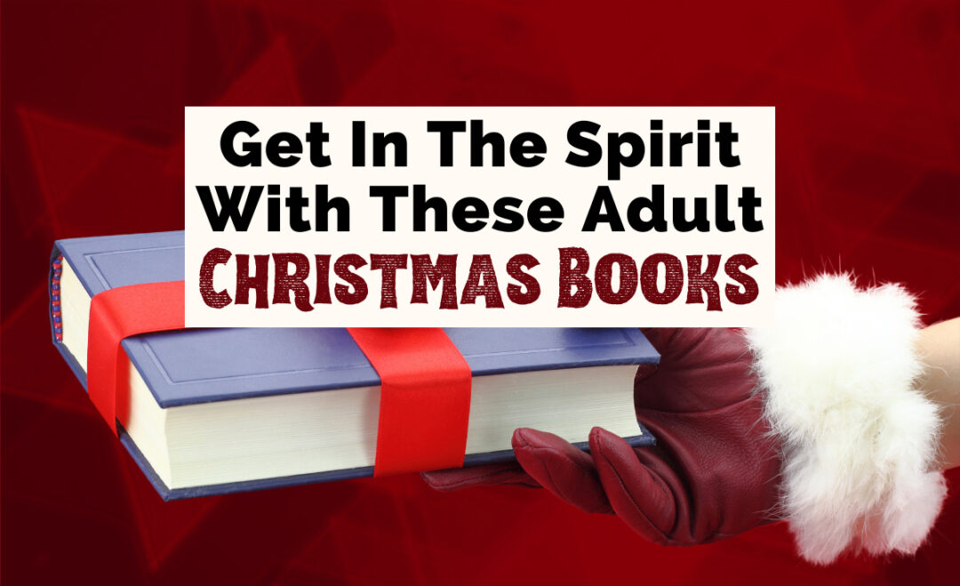 Non Fiction Christmas Books For Adults